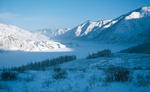 L'avatar di BigWhite