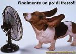 L'avatar di Tos911