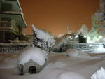 L'avatar di lifeisnow