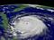 Avatar di Lady hurricane