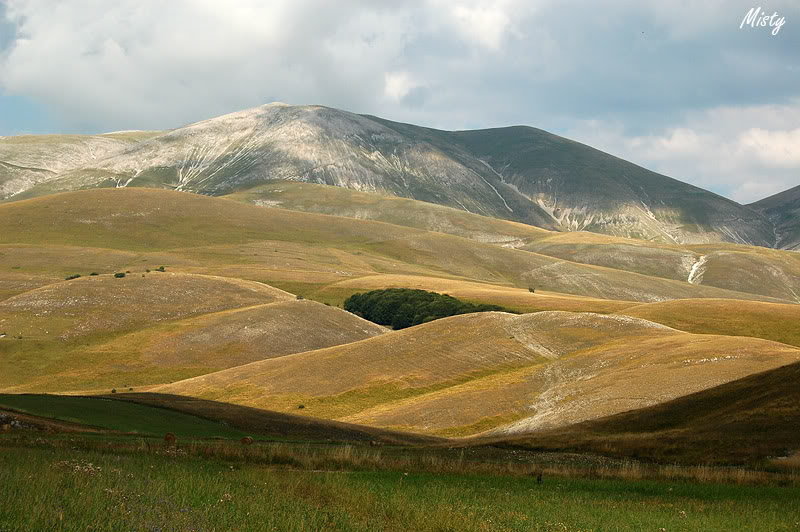 Ferie negli Appennini PN Foreste Casentinesi e Sibillini
